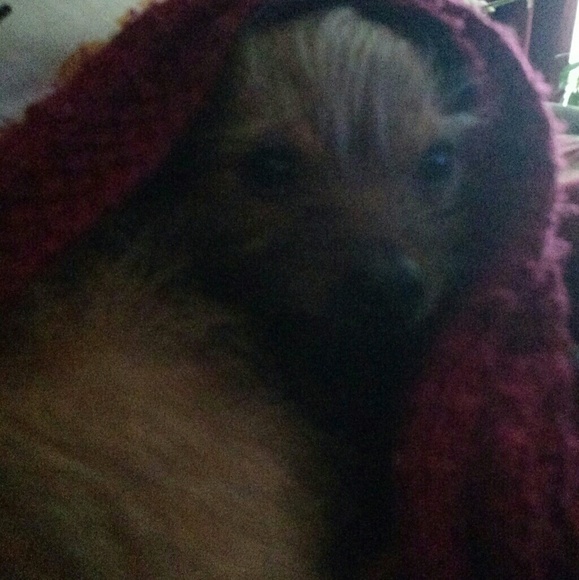 Meet your Posher, Lisa - Picture 5 of 11